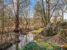 904 Misty Springs Road Knoxville, TN 37932 - Photo 36